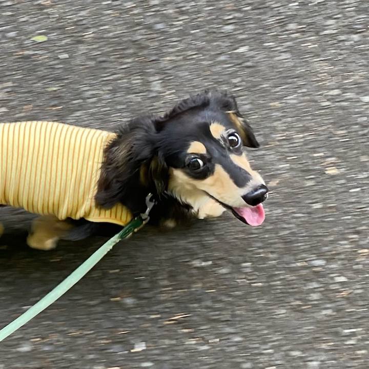 8ce88fdd dca1 429e 865a 397cc9185ed2 1689034671678