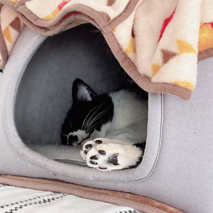 8ce8a1da b005 4736 a816 52ce3a98580b 1674362711545