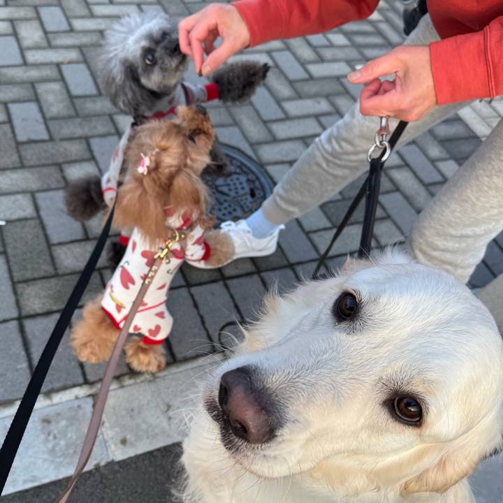 8ce8a8d6 2671 4791 a0c1 4af20d2b3037 1745709488277