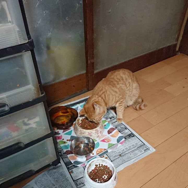 8ce8bc40 ffdd 401c 9666 b3d6f6c3d0f2 1651744232804