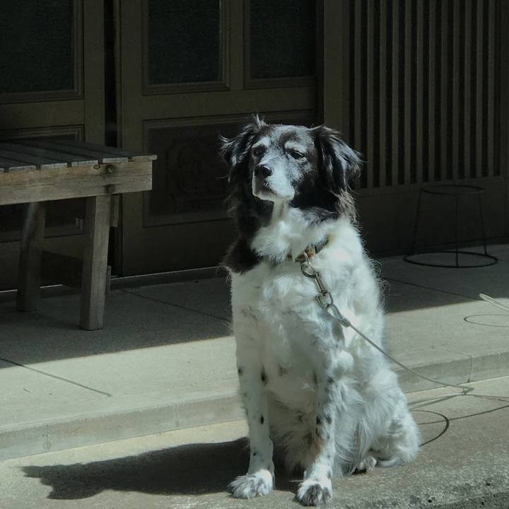 8ce90b8a e620 4bf5 86ca 141f711e2acf 1526347424751