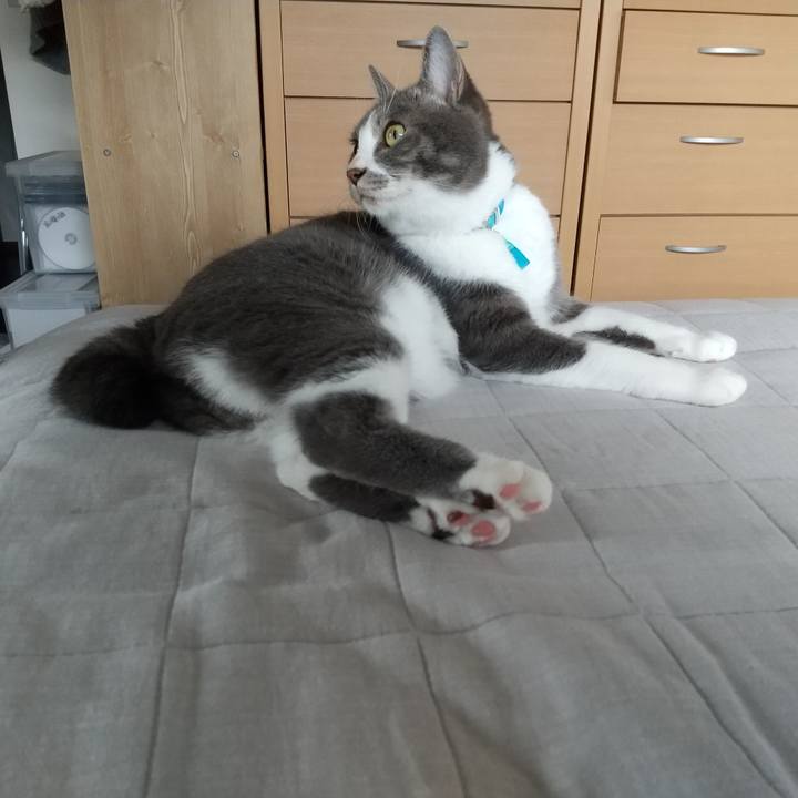 8ce93e81 436d 43df a95b 0cdb04d09d4d 1627254055620