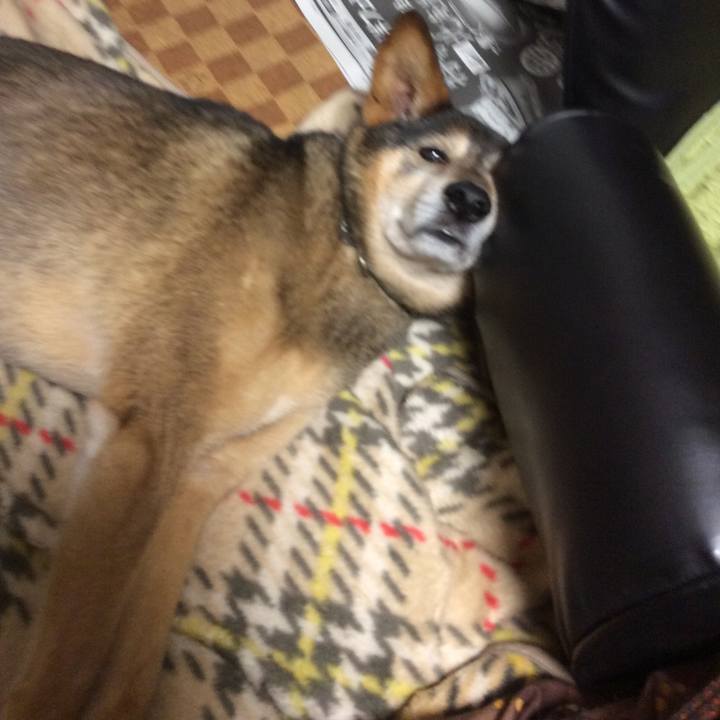 8ce94f1e 5e83 4661 a1ef 5b88f9ed7951 1517406780420