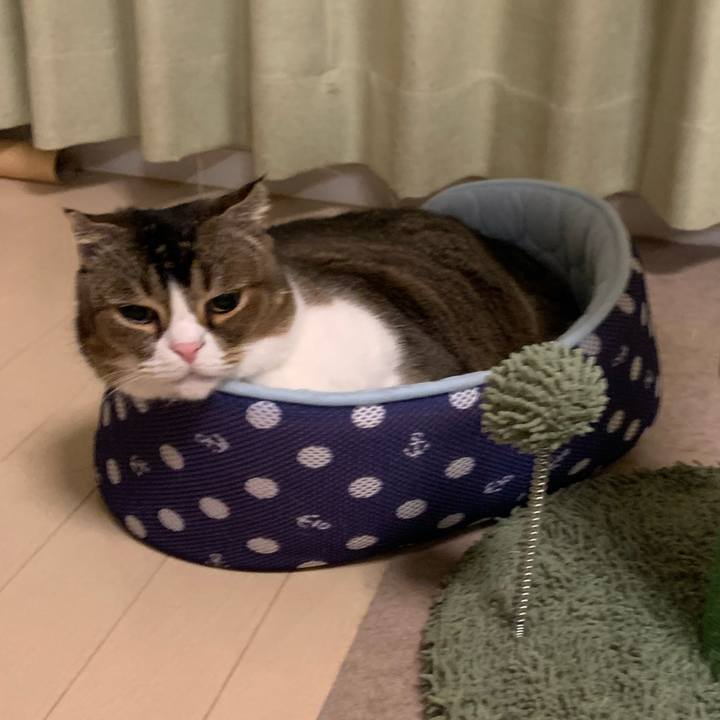 8ce964c5 0115 4b7a 9f08 3c382da319f6 1728830053437