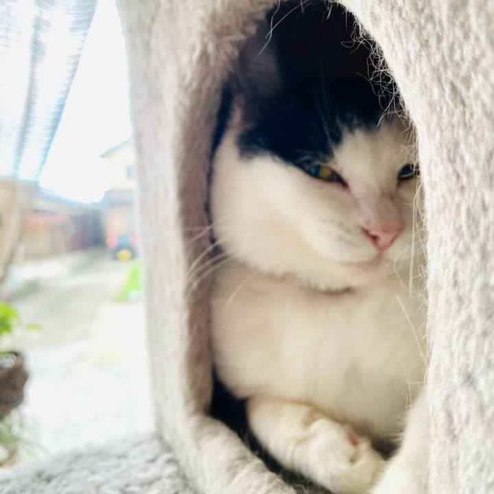 8ce98cb6 b8f3 47e6 8252 d1043fae4b65 1689027729390