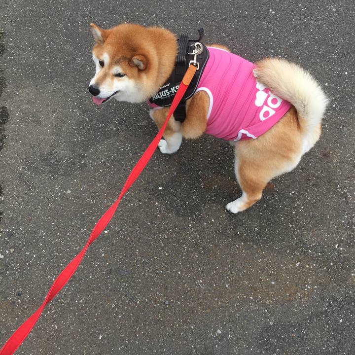 8ce9a689 0d70 413e a65f c8cf88ce5127 1594008076856