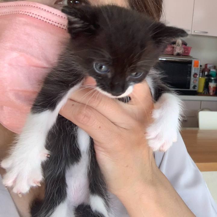 8ce9a92c 2166 4eef bcac 990473361076 1632116824302