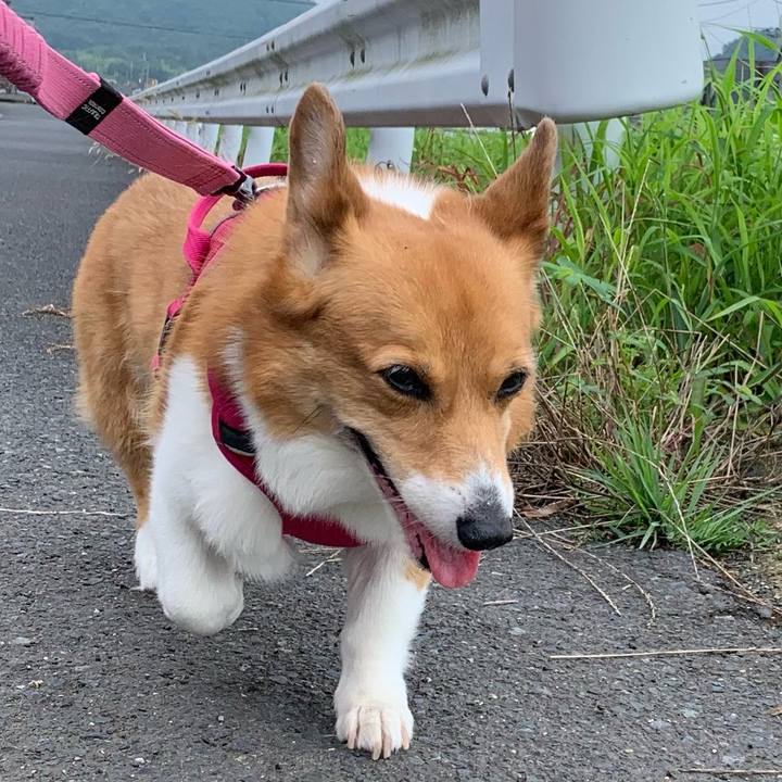 8ce9b0a6 aa3e 4336 80a0 051f106c08aa 1721264373503