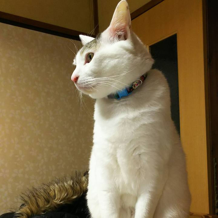 8ce9c002 f31a 400d a759 0d5493e577fd 1518448256665