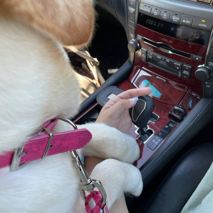 8ce9d8cd f910 40ee a077 2b9051ad7084 1633750860540