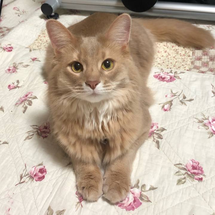 8cea6111 9f16 467f ac0a c55d3a580782 1611459709040