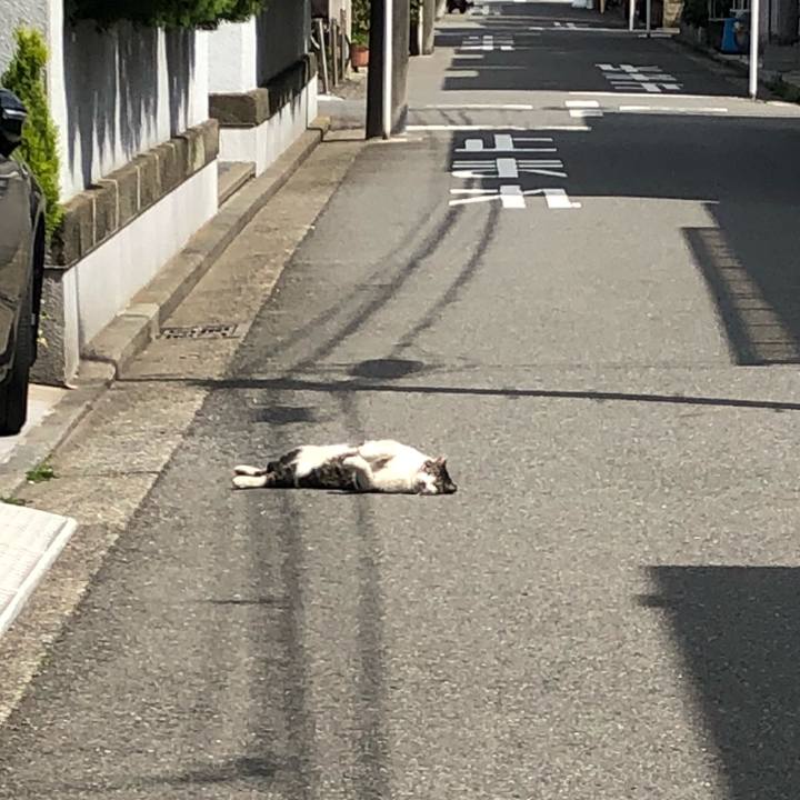 8cea9a9f 4e47 4819 8906 ec4c754f3994 1522418162382