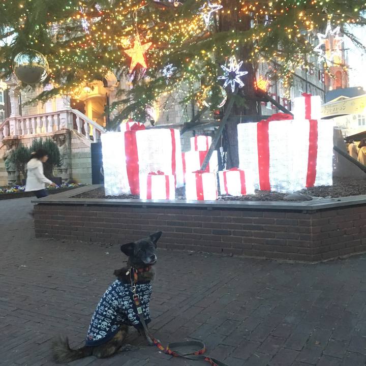 8ceaa0ed 8b4b 4219 b8e1 46db592c1658 1544365888430