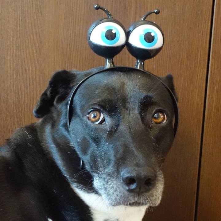 8ceb5eab 658b 445d 91cc 648c494b5410 1725496307006