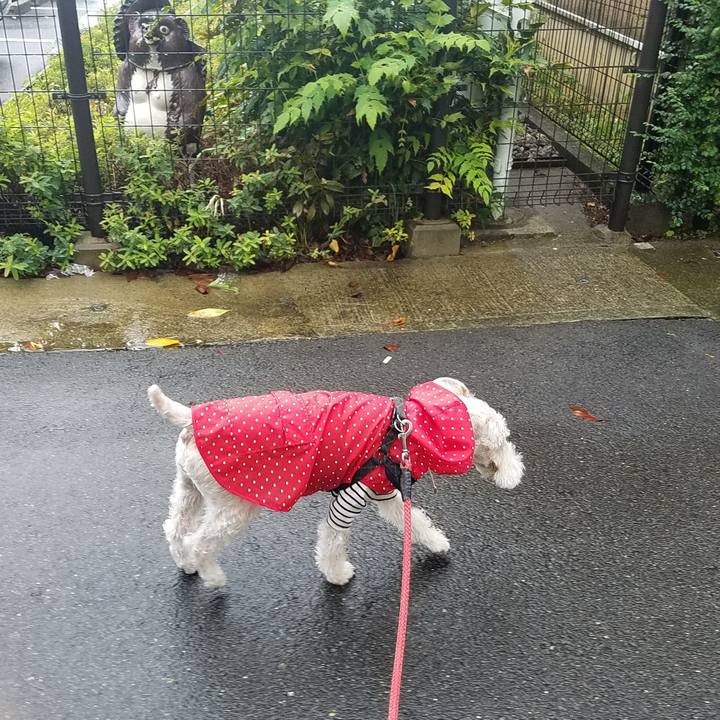 8ceba351 d6a2 492f a967 2b83d6343f0f 1602301215724