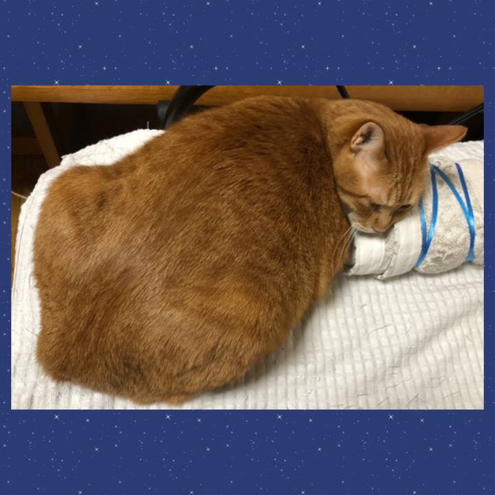 8cebe21c b011 4107 90f6 5649e8db8a95 1647290687965