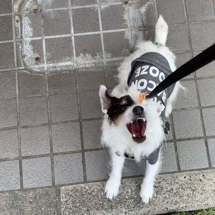 8cebe7de f757 4c61 94bb 11bd8af99f3a 1680765330343