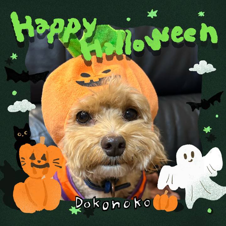 8cebece5 63e1 40e1 a2a9 3a62bd51e339 1730381481978