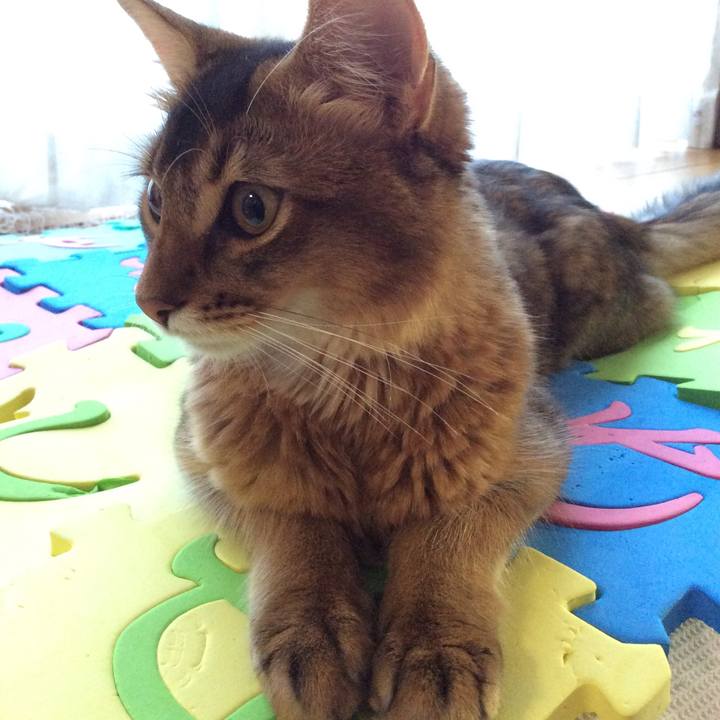 8cec0811 36d0 4523 b13e 1f78f4afad54 1565169060054