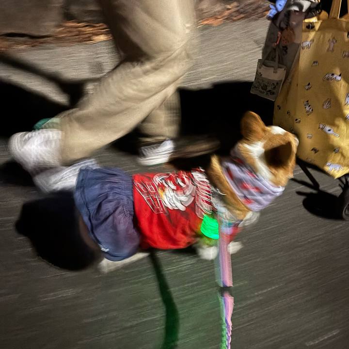 8cec48f6 2b56 46a5 9eae 7fcf17c972da 1758885605300