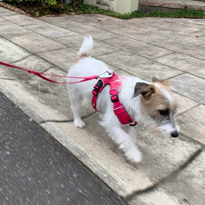 8cec7035 f095 4962 b5e4 bf812a3d4bbe 1571297082045