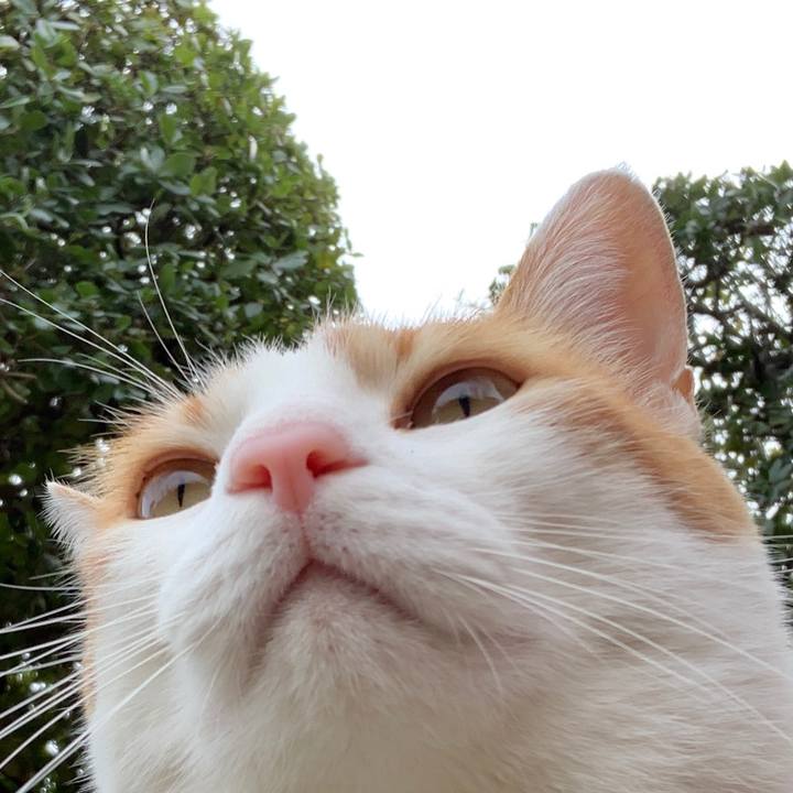 8cec7dab fce5 4b0e a866 eb67c3899ab9 1581650389654