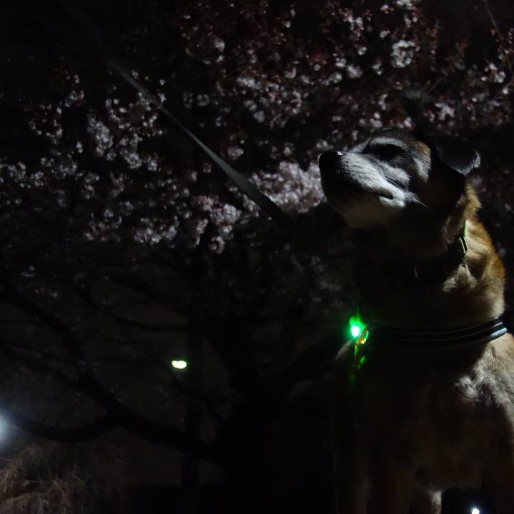 8cec85cf 7a6a 40ca 8151 5576f5c8bec3 1661387029360