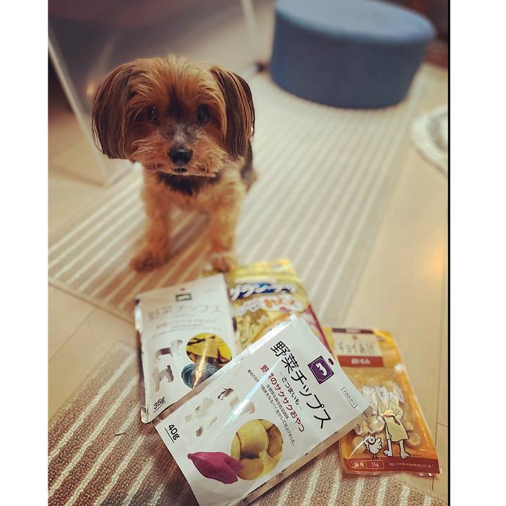 8cec8f11 fd43 4826 b05d b3d106ac867b 1660359936736