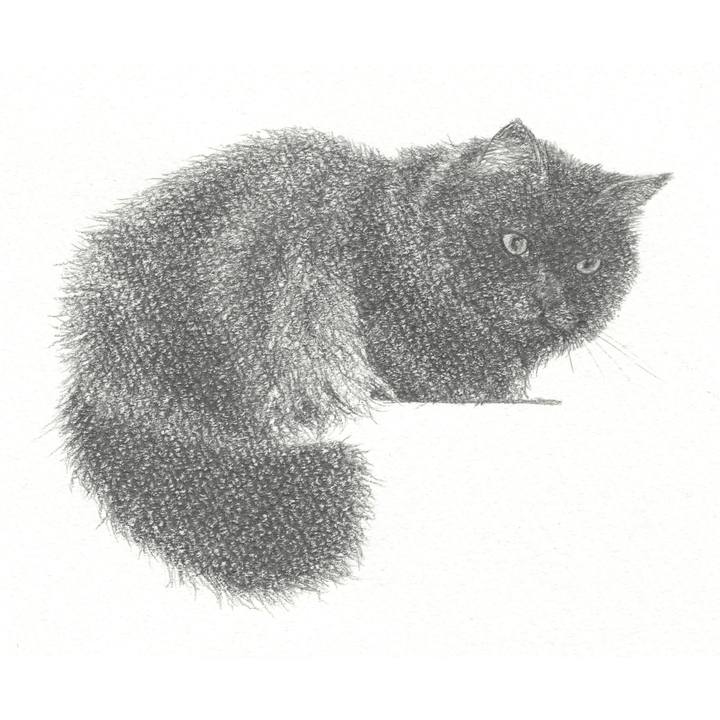 8cec9c5c f74a 464b a9c5 8285eae7123d 1545745578304