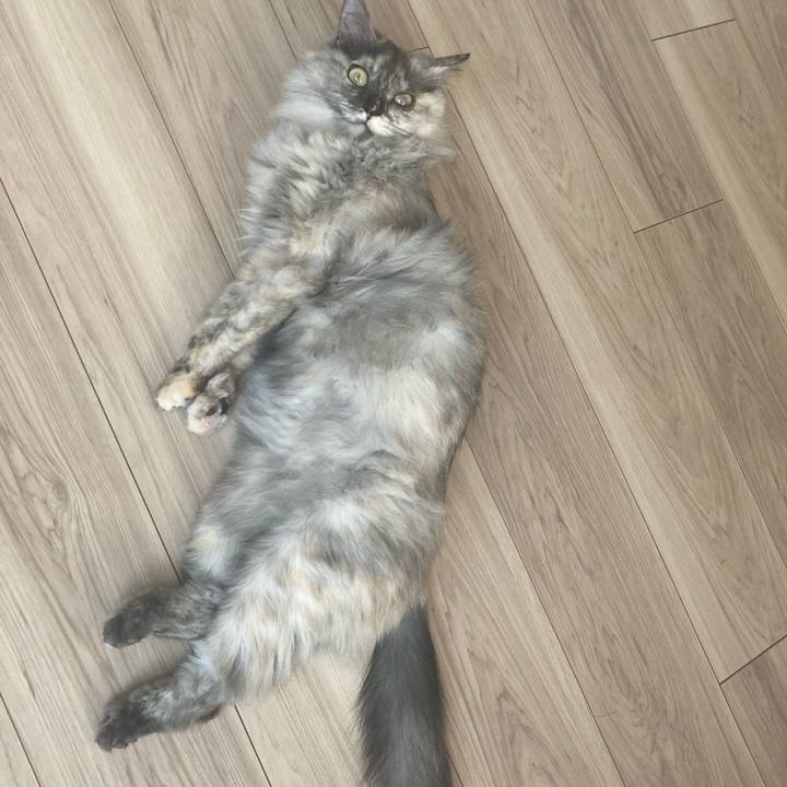 8ceca88b 2aed 4a1b 8d2a d454ee7e948c 1745039682416