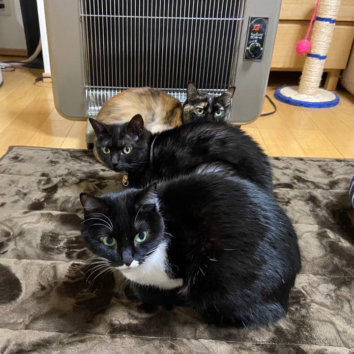 8ced517e cfdb 4200 bca5 10872c5a4322 1611065445642