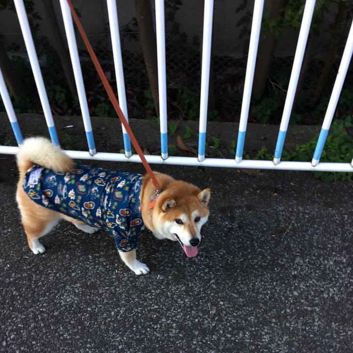 8ced75a7 b909 4e90 996b 11a7213bc470 1564788543400