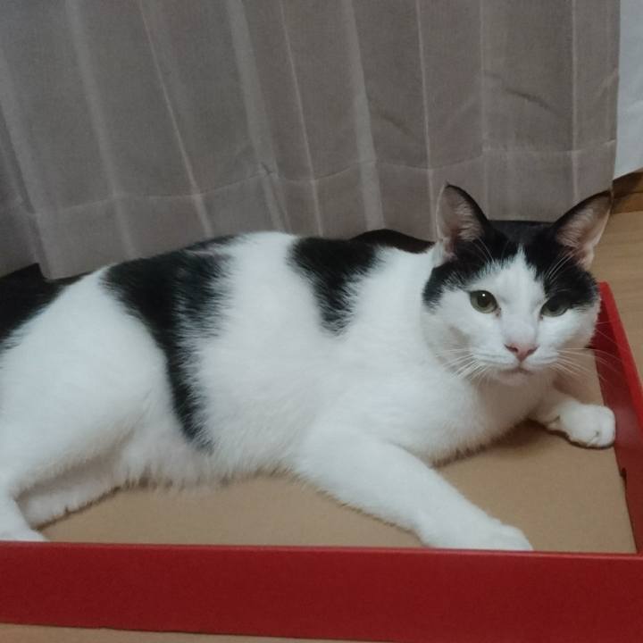 8ced7a9a 0f5e 4a39 a69d c1fabf38429c 1524569417664