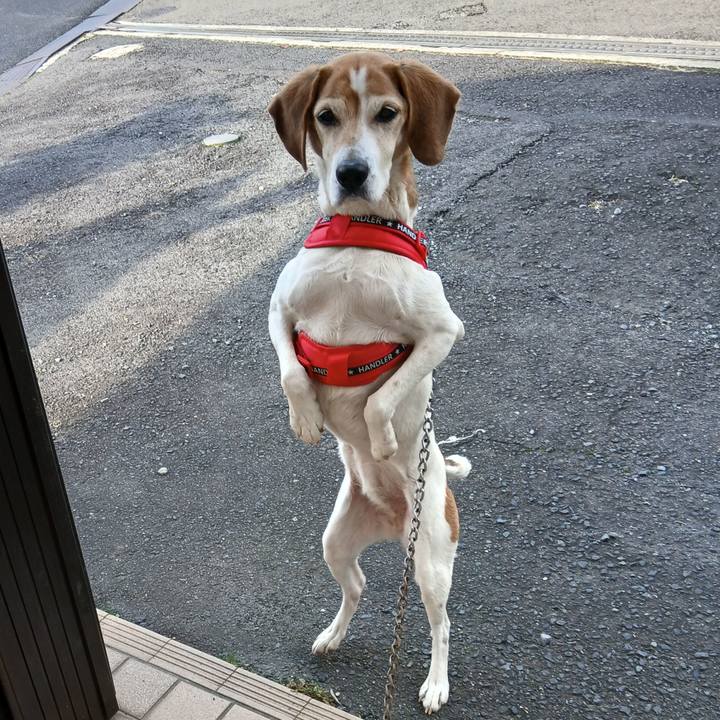 8ced9816 1b2d 49af af44 9e538c387ed9 1772942636377