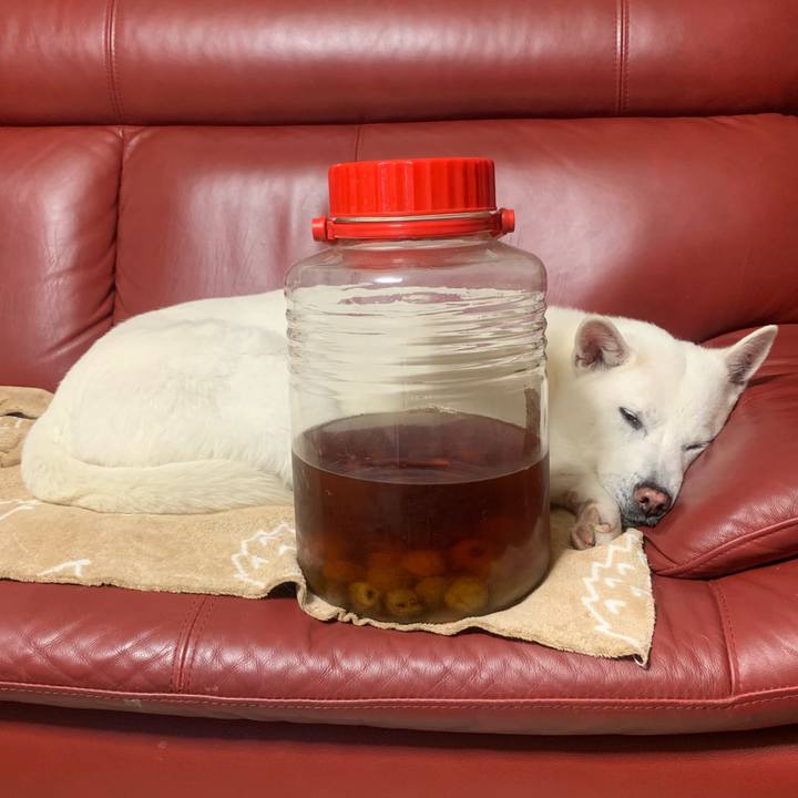 8ceda541 e9ce 4d78 8160 6393b137a6ab 1546686314534