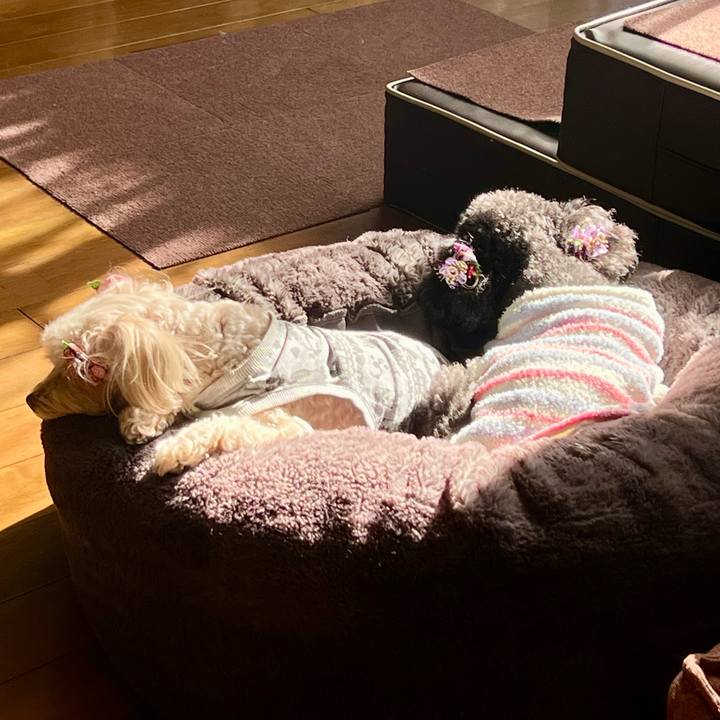 8cedab34 64c3 456c bff9 0e3f46eb9ba0 1767773127517