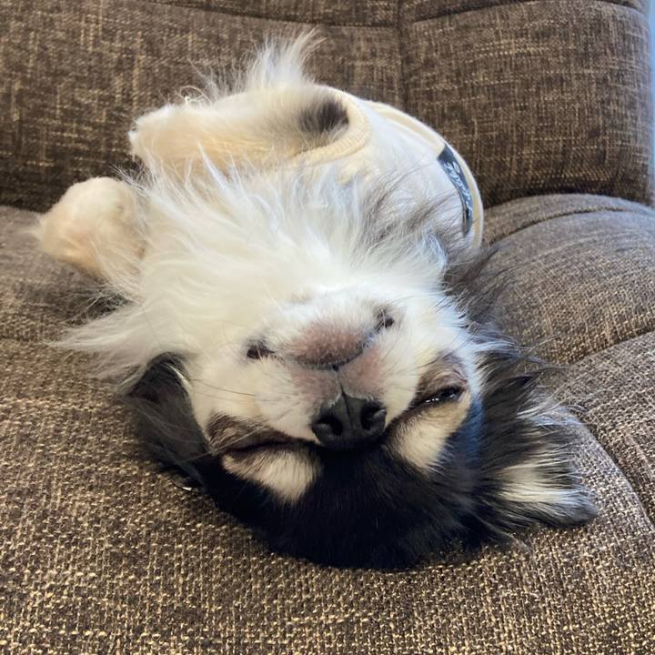 8cedc374 53c4 4fe6 957a ac7c6bd6afa7 1704538721844