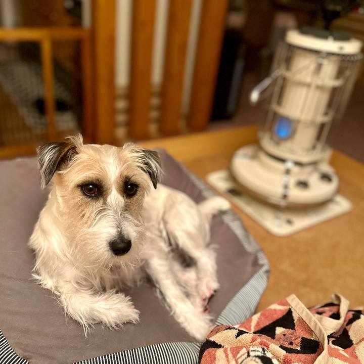 8cedf7b5 f52a 4cab b5bb f8716fffaa2f 1705411350027