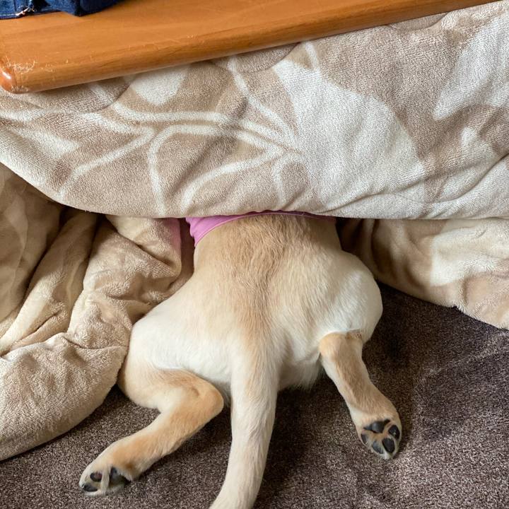 8cee42b6 1902 427e a7c5 cf82a7bf420c 1615944465990