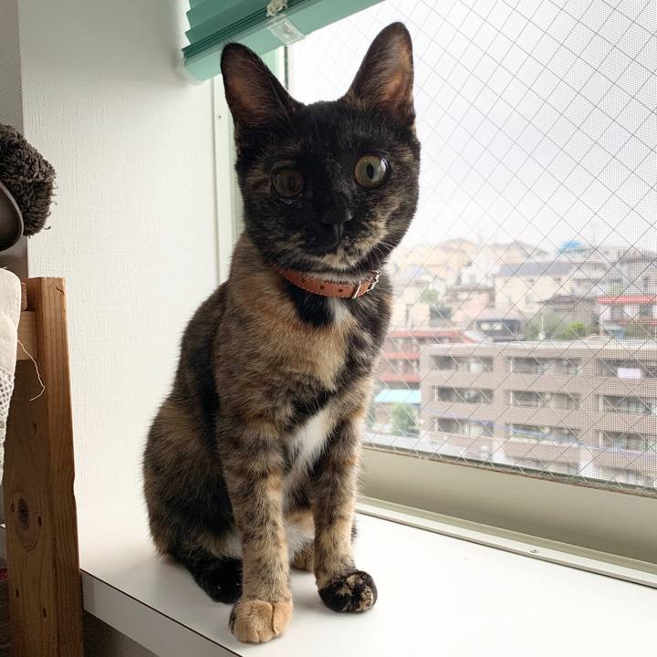 8cee4b05 9c42 4789 814b e62a51549212 1571182228012