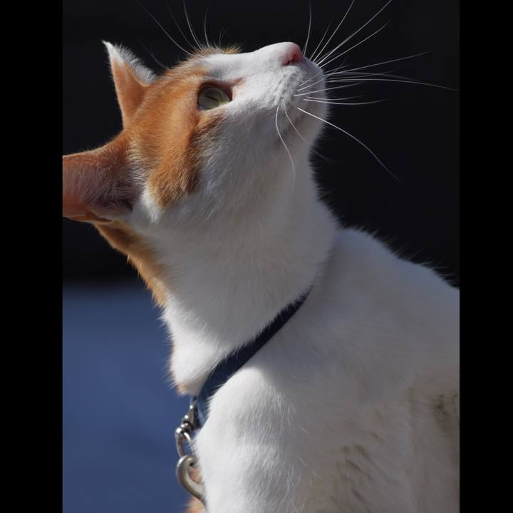 8cee534b 3e25 435f 8923 1665afb02415 1517458385531