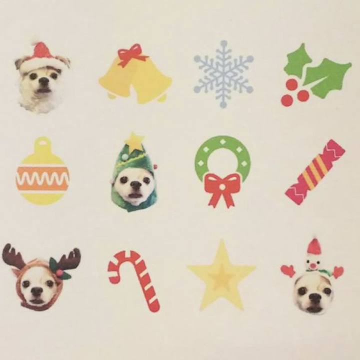 8cee65fa 7747 499a a741 b76899744466 1703304691956