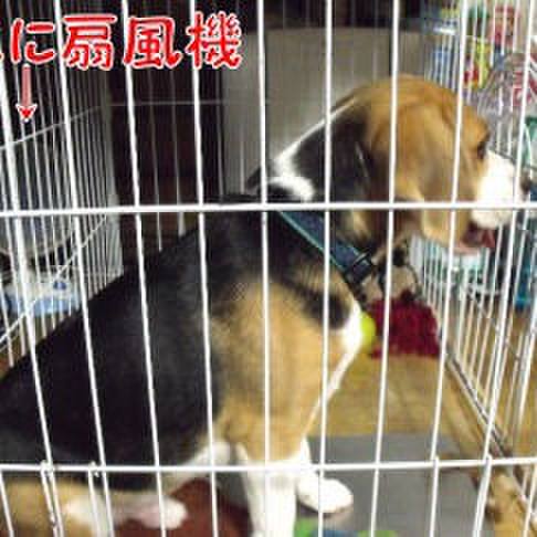 8cee7226 8079 4c4b a81a c371af996dbc 1688861347480