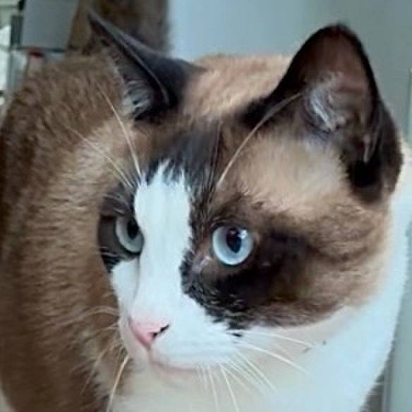 8ceec27d fcc6 4407 b761 25a9f87c0700 1752456969227