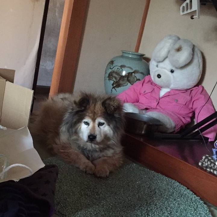 8ceec86c f5e4 432e ba05 aabe6674ec43 1597887280839