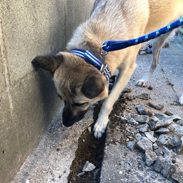 8ceecacd 56ab 468c 967b dd35ec5d9dcc 1538047101828