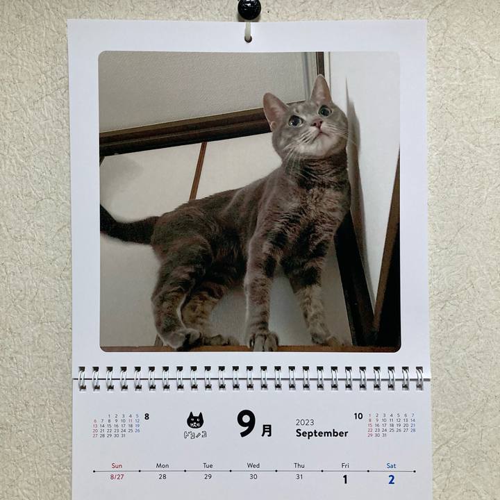 8ceed4a9 fdc6 4a50 9d08 a68d3d858c8c 1693579192129