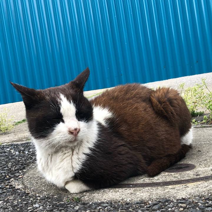 8ceed7fa a7de 4487 9419 371964a1bb1f 1555082400231