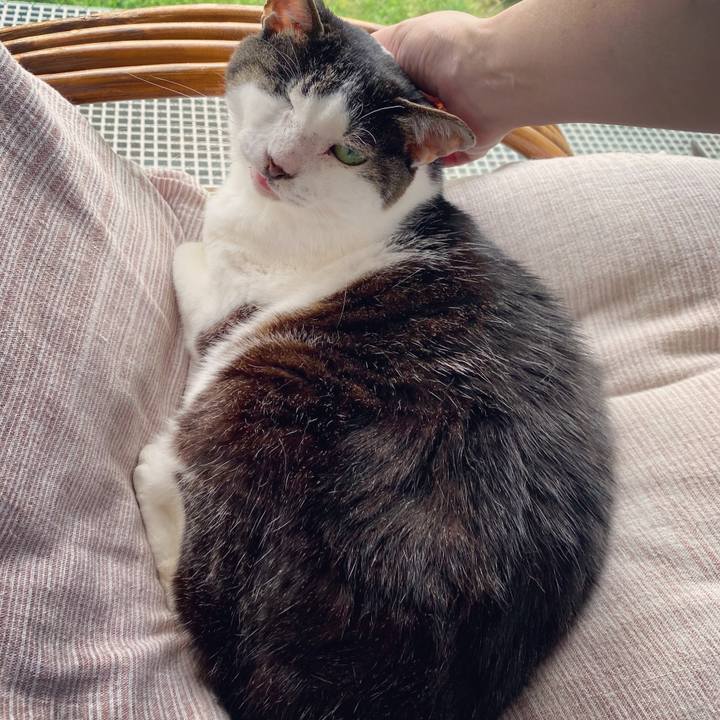 8ceede1c 0e6f 4c5b 8f91 856aaf17cc64 1592441500709