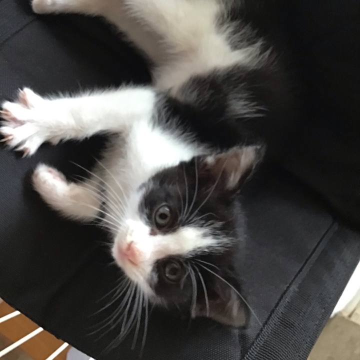 8cef2c91 0f32 4b0b b409 ae59afb39983 1622788098910